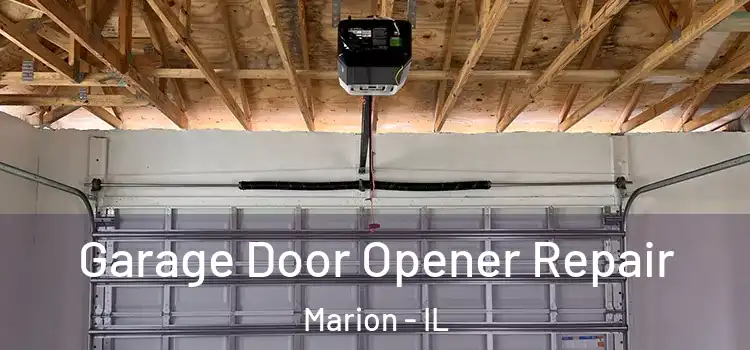  Garage Door Opener Repair Marion - IL