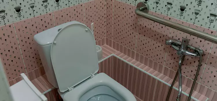 Meeting Diverse Needs With Accessible Restroom Solutions in Marion, IL